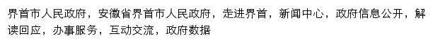 ahjs.gov.cn网页描述