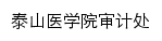 audit.sdfmu.edu.cn网页描述