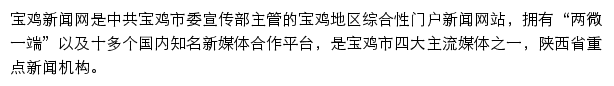 baojinews.com网页描述