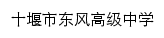 dfyz.shiyan.gov.cn网页描述