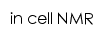 incellnmr.apm.ac.cn网页描述