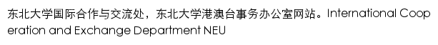 int.neu.edu.cn网页描述