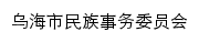 mw.wuhai.gov.cn网页描述