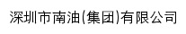 nanyou.net.cn网页描述