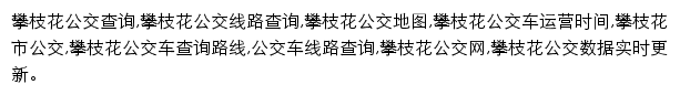 panzhihua.8684.cn网页描述