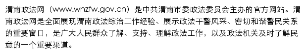 wnzfw.gov.cn网页描述