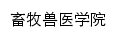 xmsyxy.ynavc.com网页描述