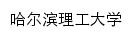 xyw.hrbust.edu.cn网页描述