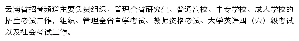 ynzk.cn网页描述