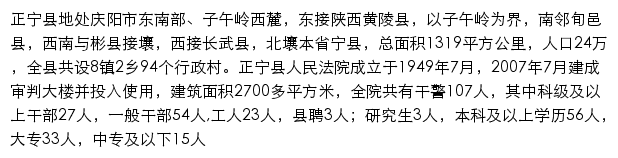 znfy.gov.cn网页描述