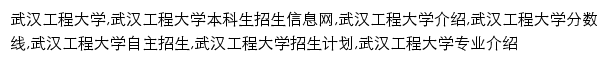 zsb.wit.edu.cn网页描述