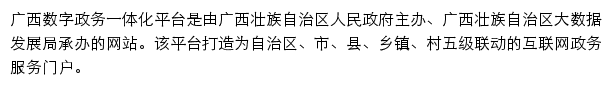 zwfw.gxzf.gov.cn网页描述