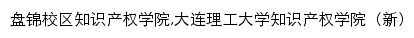 {ip.dlut.edu.cn}网页关键词