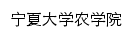 {nxy.nxu.edu.cn}网页关键词