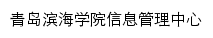 {xxglzx.qdbhu.edu.cn}网页关键词