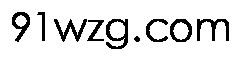 91wzg.com