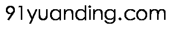 91yuanding.com