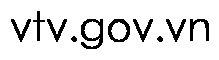 vtv.gov.vn