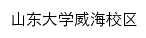 dxyq.wh.sdu.edu.cn网页标题