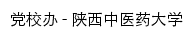 dyb.sntcm.edu.cn网页标题