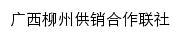 gxs.yun.liuzhou.gov.cn网页标题