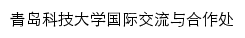 {ieco.qust.edu.cn}网页标题