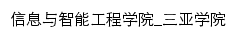 iie.sanyau.edu.cn网页标题