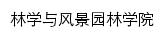 {lyxy.xjau.edu.cn}网页标题