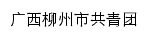 {lz54.yun.liuzhou.gov.cn}网页标题