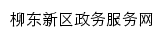 {lzld.zwfw.gxzf.gov.cn}网页标题