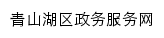 ncqsh.jxzwfww.gov.cn网页标题