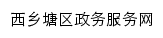 nnxxt.zwfw.gxzf.gov.cn网页标题