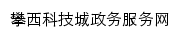 pzhspxkjc.sczwfw.gov.cn网页标题