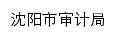 sjj.shenyang.gov.cn网页标题