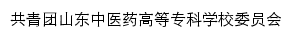 tuanwei.sdctcm.edu.cn网页标题