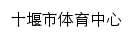 tyzx.shiyan.gov.cn网页标题