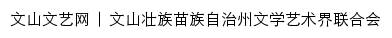 wswyw.com网页标题