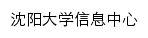 xxzx.syu.edu.cn网页标题