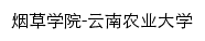 ycxy.ynau.edu.cn网页标题